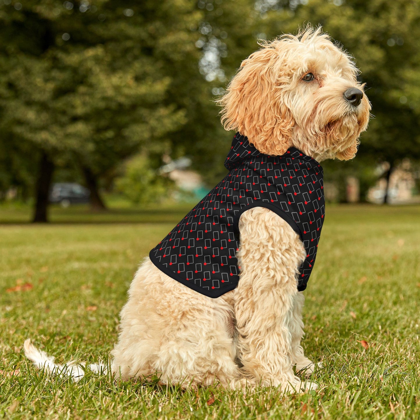 Rectangles Podcast Pet Hoodie