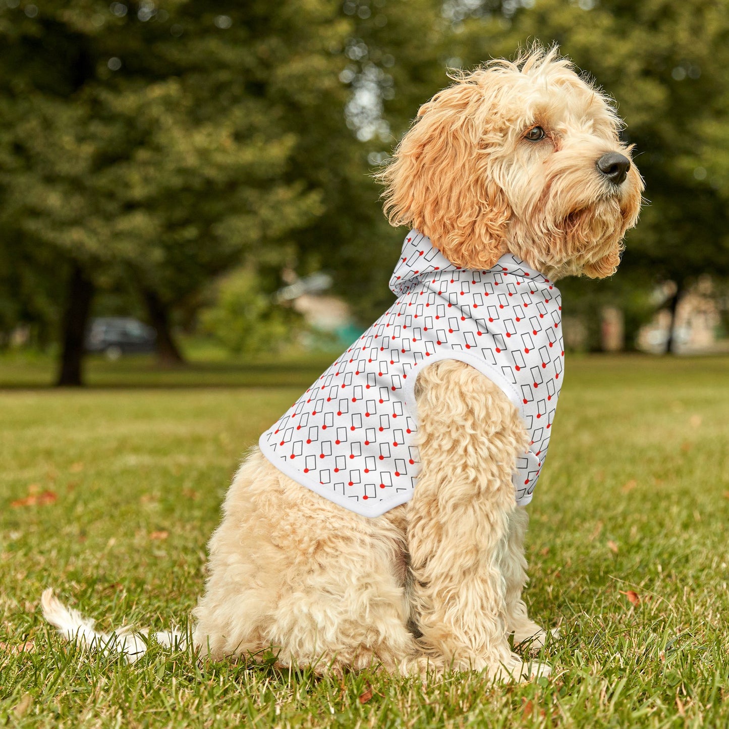 Rectangles Podcast Pet Hoodie
